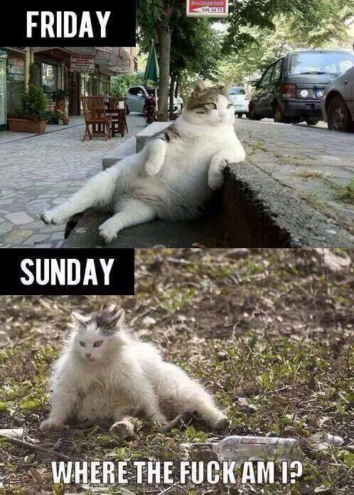 MensHumor's tweet photo. Every. Single. Sunday. http://t.co/GCYrI9BbGn