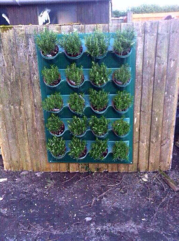 lush_wall's tweet photo. @fennelandfern GYO herbs veg salad crops or create beautiful floral displays with Lushwall panels http://t.co/4SbhqS8025