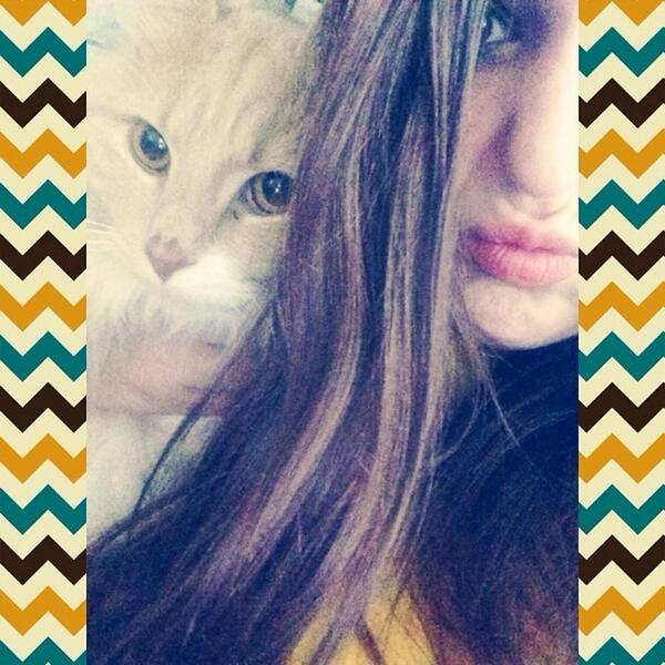 Pynkbookamy's tweet image. Good morning from beauty and the beast! 💖 #cat #kitty #toearlyforthis #longhairdontcare #mybeast #beauty #looking...