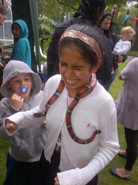 at  Avondale 'fun day' yesterday I asked 'are you sure you want to hold the snake' niece said 'yes' then<a href="/tag/gaga"class="tags"><span>#gaga</span></a>