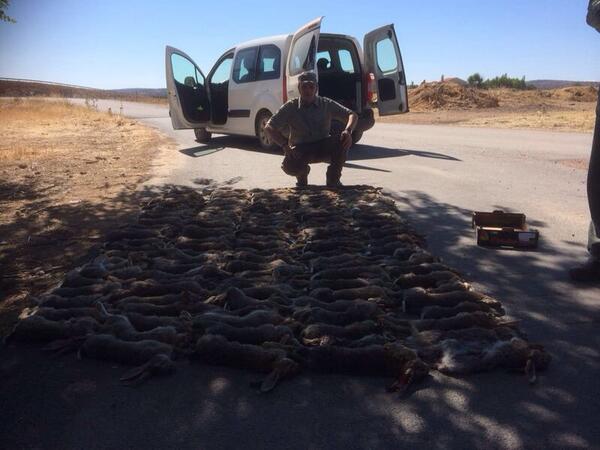 Día de caza en pozuelo de cva <a href="/cazapasion/">Caza Pasión</a> <a href="/cazaytradicion/">Gonzalo</a> <a href="/rincondecaza/">Rincón de caza</a>