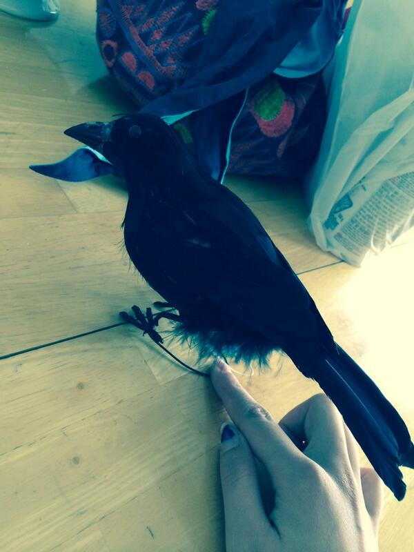 Simone_Artista's tweet photo. Planning on transforming this crow into a beautiful cardinal! #Beni #ExtremeMakeOverBirdEdition http://t.co/U2JhP6CoRs