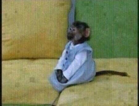 LesReactions's tweet photo. Moi quand je suis invité chez quelqu'un. http://t.co/g5KGUPww52