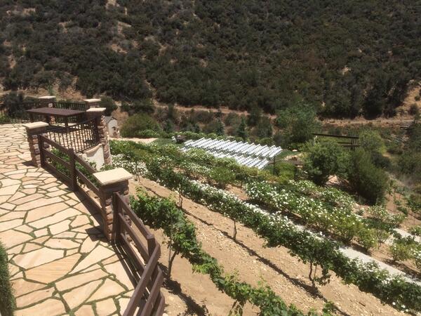 loveiscinema's tweet photo. What a place! #serendipitygardenweddings http://t.co/BLpvE8PDYT