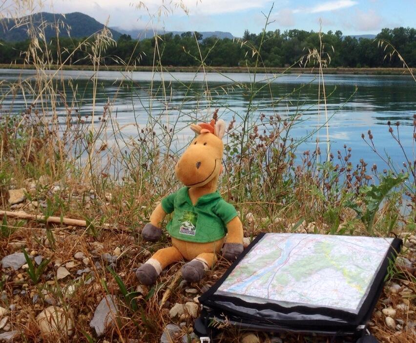 Permalien de l'image intégrée