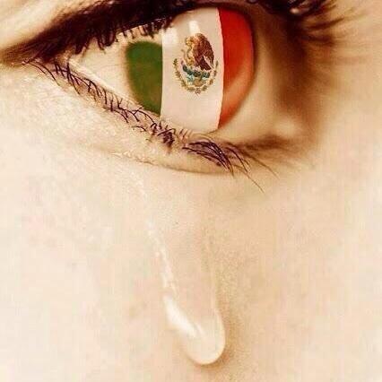 LadyPioja's tweet photo. Gracias México, gracias papá, gracias cuerpo técnico, gracias jugadores... GRACIAS AFICIÓN. http://t.co/ZZ7ALNaKy0