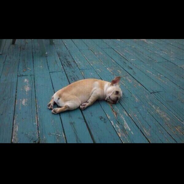 BrentRivera's tweet photo. Today got me like... http://t.co/shDffjUqas