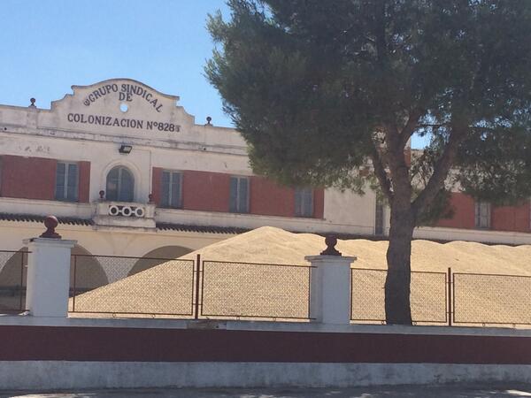 albacetecuenta's tweet photo. +1.100 toneladas de #cebada en la Cooperativa de #Minaya y porque ha sido mal año de cosecha http://t.co/ZbGINs0HCB