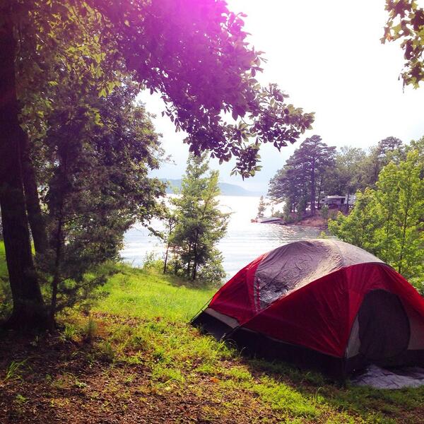 Sara Parkman (@saraparkman) on Twitter photo 