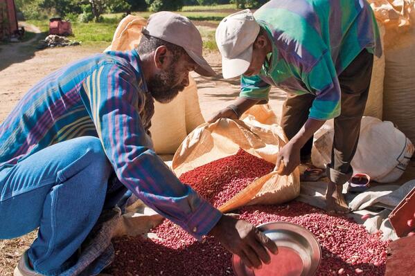 AbbottNews's tweet photo. Haiti farm program w/ ABT Fund, @PIH, @TechnoServe improves peanut supply, increases farmer incomes http://t.co/PlIhpEh4T2