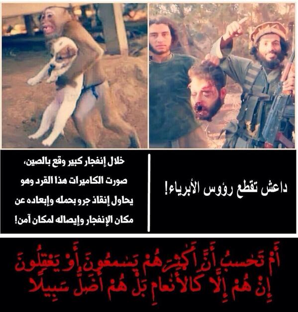Rumathiya's tweet photo. #داعش_هم اليائسين من الحياة والمجرمين والمتعاطين حثالة اي مجتمع او جنسية بالعالم تحت ادارة اسرائيلية وهابية امريكية http://t.co/Iw8Y9H0hI6
