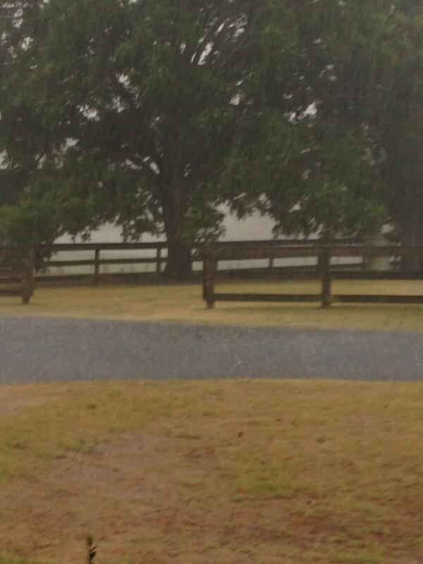 Laurie McCall (laurie_mccall) Twitter