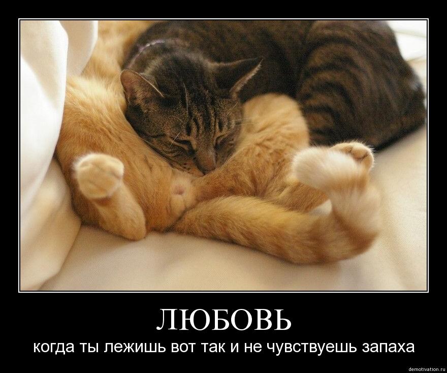 Разные, прикольные картинки про любовь