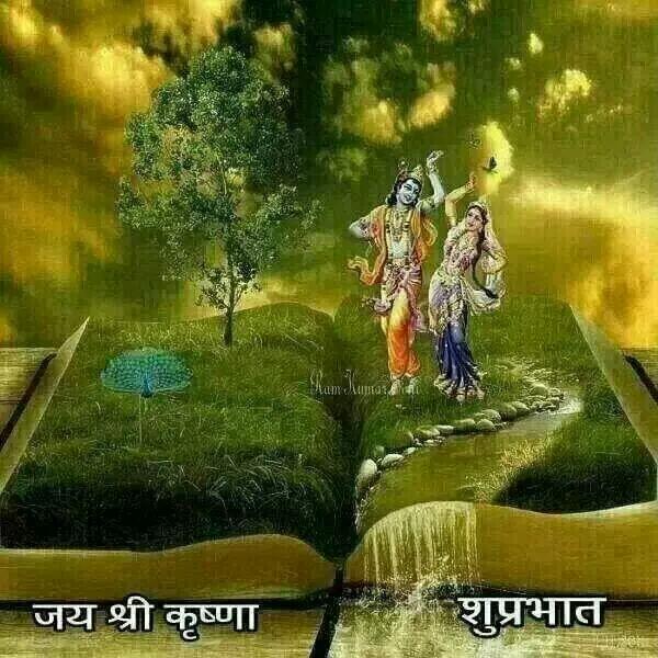 Luxury Krishna Good Morning Wishes Naturesimagesart