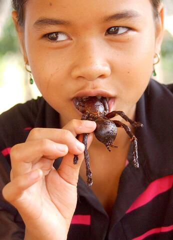 Где едят червей. Пауки в Тайланде. Жуки Тайланда. Жареный Тарантул. Паук в еде.
