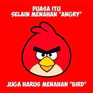 Angry bird.. :o