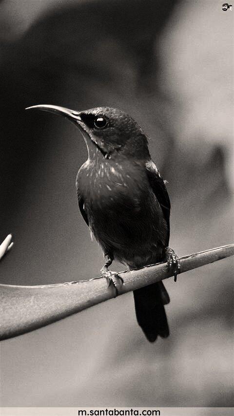 ashishkumar157's tweet image. 