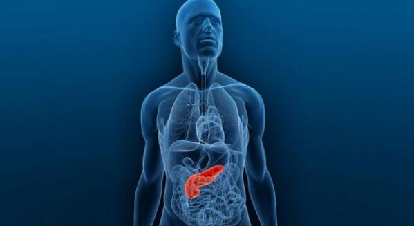 antena3com's tweet photo. Hallan una proteína que podría frenar el cáncer de páncreas http://t.co/QAVYFPbbVE http://t.co/B1vgMIc1bH