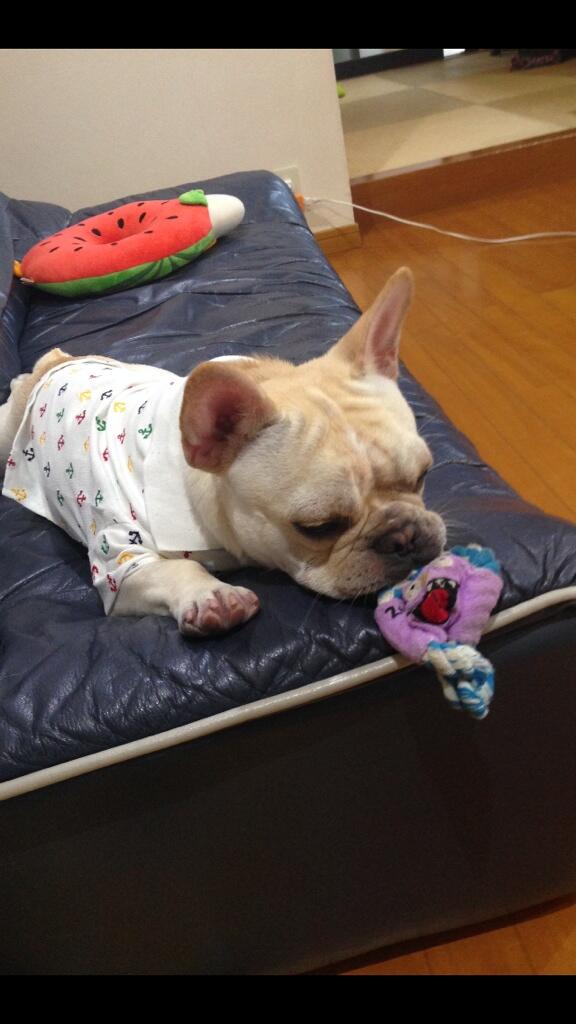 milchines's tweet photo. ポロシャツ似合う♡ http://t.co/vIivtqJLkI