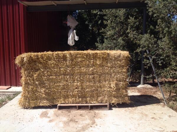 Llegar al huerto y ver q an llegado antes q yo jajaja <a href="/oscarbretos/">Oscar bretos</a> <a href="/jonatanpege/">pege</a>