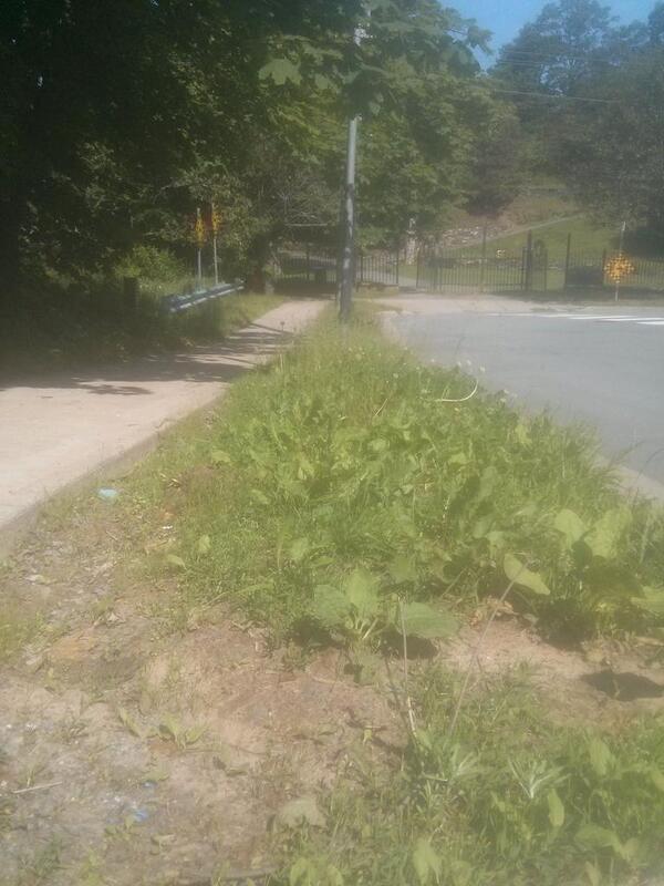 halifixNS's tweet photo. .@DartmouthG - the grass along King Street near commons hasn't been mowed yet. Be nice to tidy up for Canada Day. http://t.co/wz6Ux0ZAqw