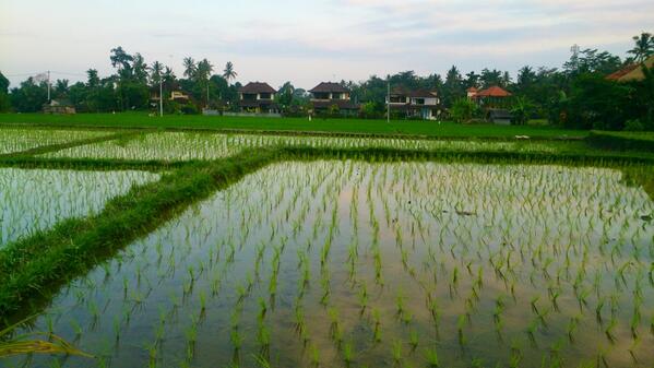 tweetrendyap tweet picture