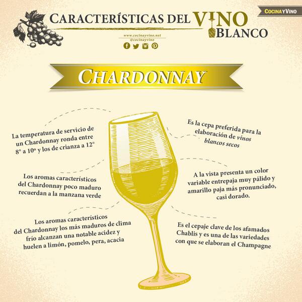 Aquí te dejamos algunas características del vino blanco Chardonnay