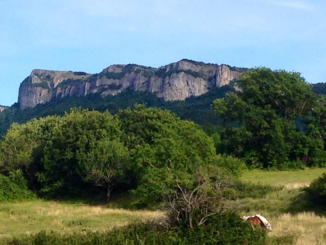 Permalien de l'image intégrée