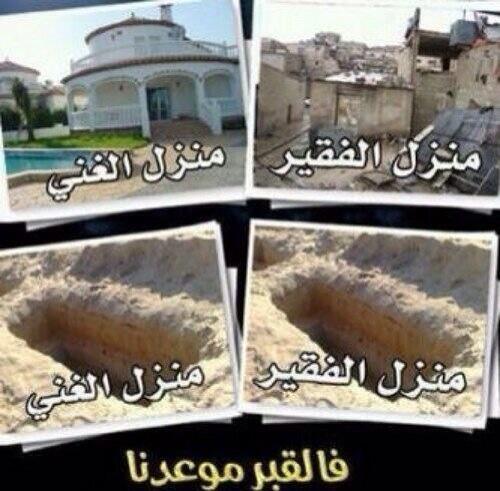 صـورة وتعليق ملف تفاعلي مؤثر جدا