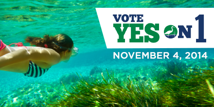 FCVoters's tweet photo. Plan a #fun summer escape to a #Florida #spring near you! http://t.co/v16FnFQ5Yz #saveoursprings #voteyeson1fl http://t.co/WR4JAgPqYN