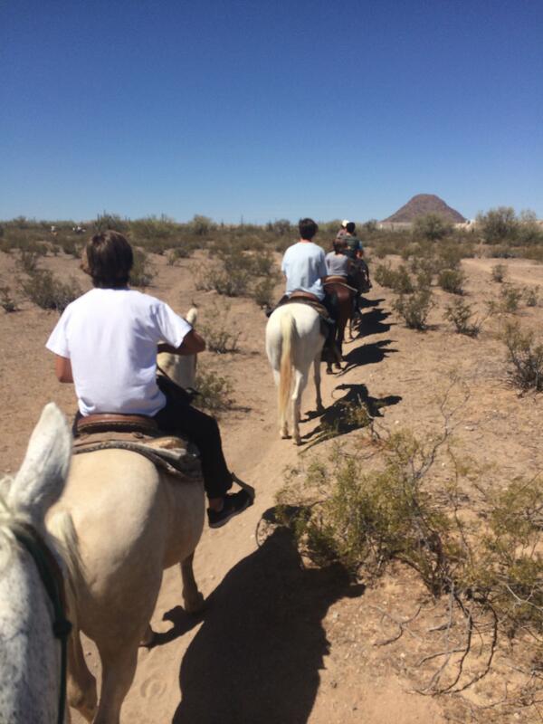 Campo Urbano tweet media