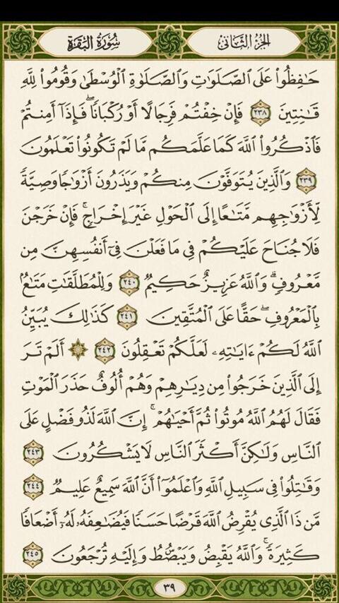 Quran_4Ramathan's tweet photo. ص ٣٧، ٣٨، ٣٩ و ٤٠. ريتويت لختم القرآن في رمضان✨❤️ http://t.co/ub5A8E1oBI