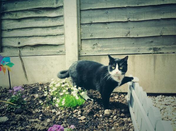 Just posing... 😸