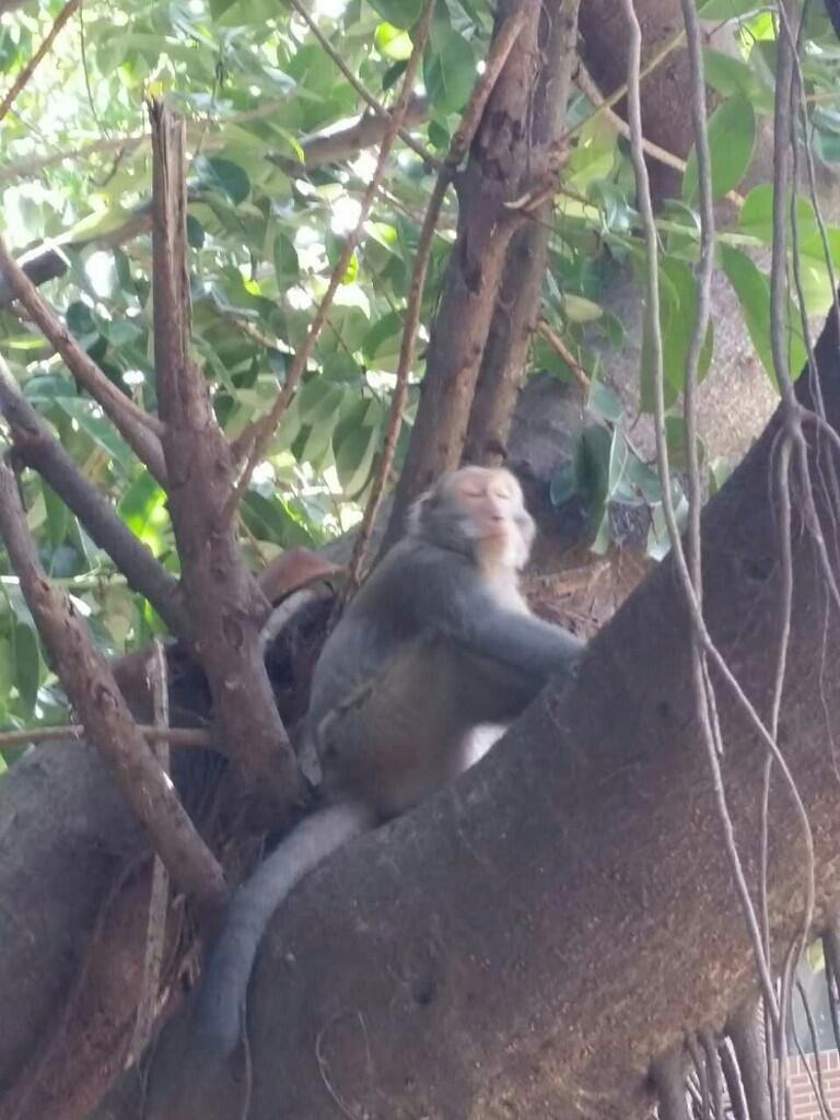 Br_65UECAAAxuXf.jpg:large