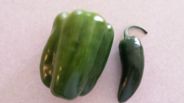 Papa_Zach's tweet photo. My first veg picked from my garden! http://t.co/6XVyeDj1zZ