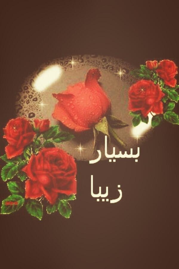 l_mosawi's tweet photo. http://t.co/ijxYHMVv8r