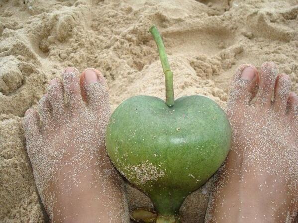 TiaraWenny's tweet photo. Kangen pasir ... http://t.co/A0OK74FGgn