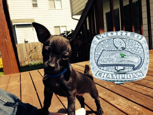 obrienohana's tweet photo. Have you seen my #SuperBowlRing http://t.co/Bts9djL2uz