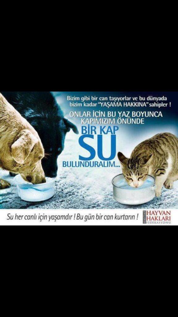 Yayın hanımlar beyler sevgilerr..