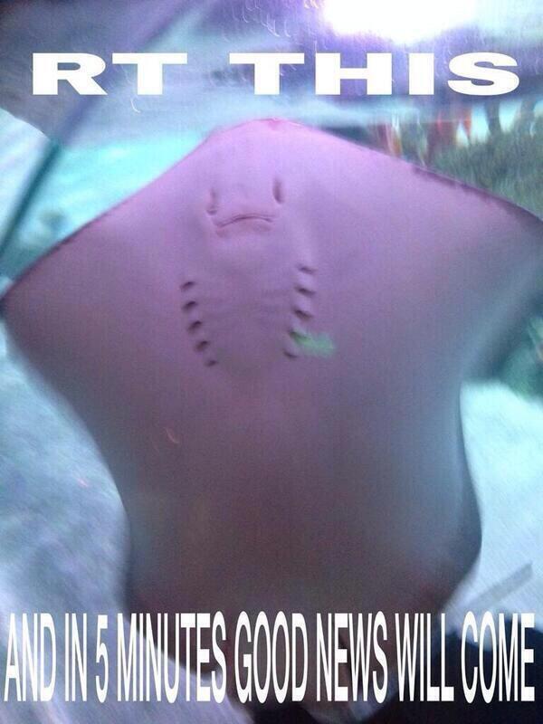 chrisrealntrue's tweet image. I need this 😫🙌