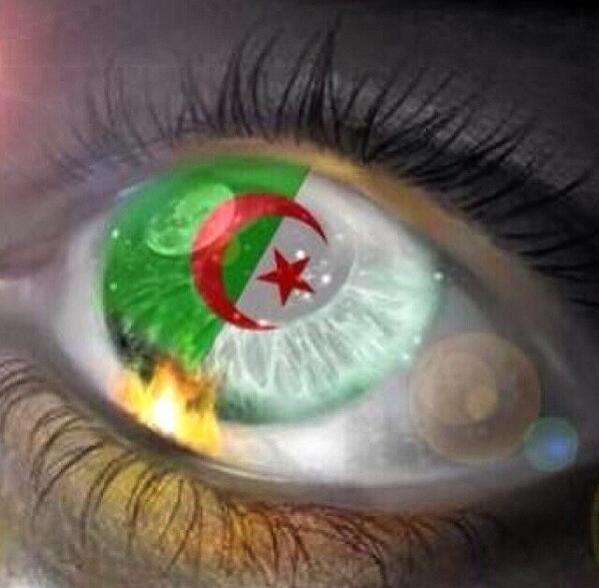 AhlamAlShamsi's tweet photo. في عيوننا #أبطال_رغم_أنف_الألمان  #الجزائر http://t.co/OxmfYfYJU4
