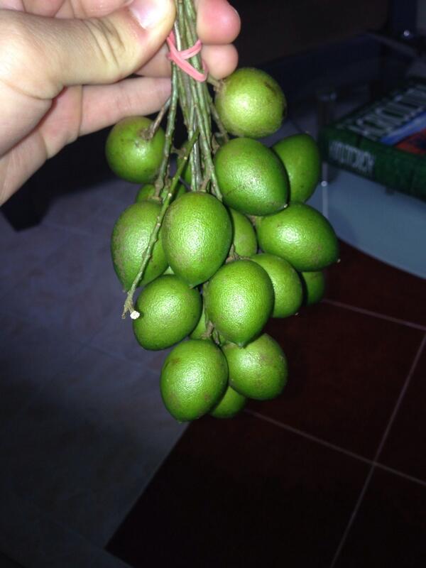 lala9pink's tweet photo. Mi antojo desde el principio del embarazo 😜 http://t.co/u04CHkpA0m