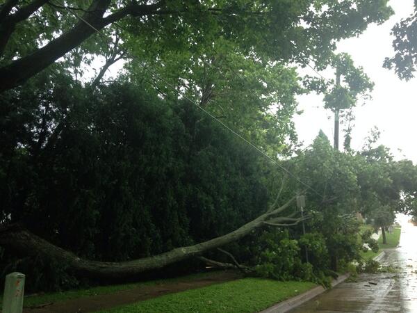 CoachWillems's tweet image. This is why South Side MV has no power. Tree fell onto power line on 5th Ave. #notaquickfix