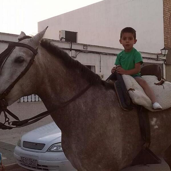 miguel abardonado (@huevomaria18) on Twitter photo 