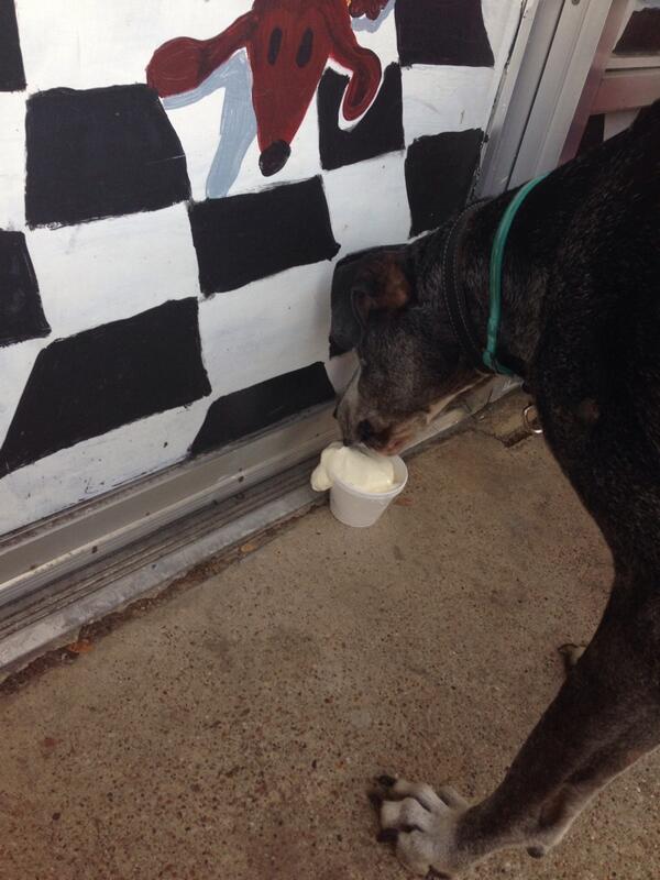 Curated Dallas tweet media