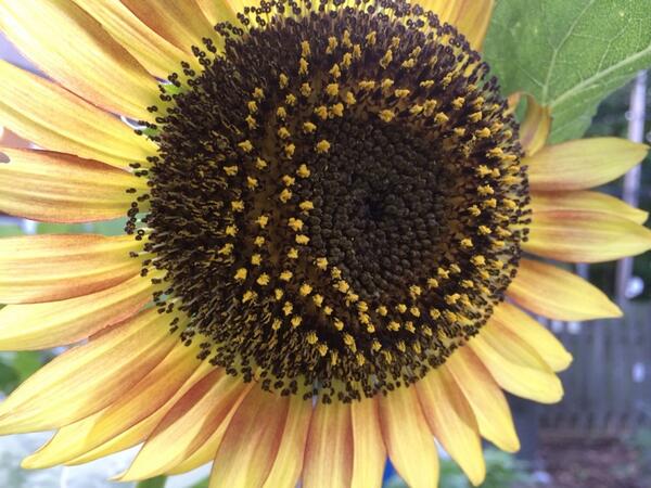 There it is again. The entire universe.