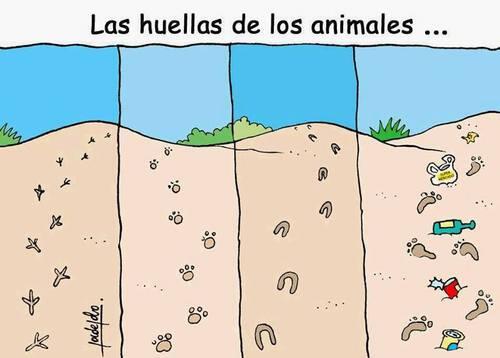 Ecogranjero's tweet photo. Las huellas de los animales http://t.co/IIkteOUpH0