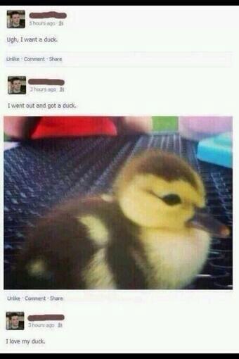 BadAdviceDog tweet picture