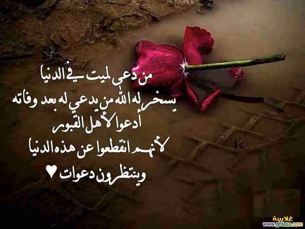 turke2073's tweet photo. ✨من دعى لميت في الدنيا يسخرله الله من يدعي له بعد وفاته✨ http://t.co/n81BNny2X9