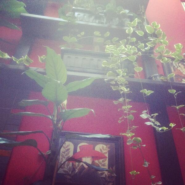 CityCodeGH's tweet image. A little #sun at #smokingarea. Good #morning #friends